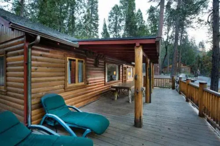 Sequoia