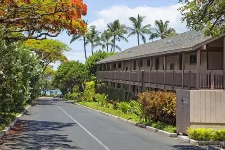 Kihei Akahi D-211