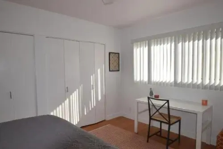 Boutique Citrus