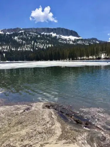 Mountainback #94