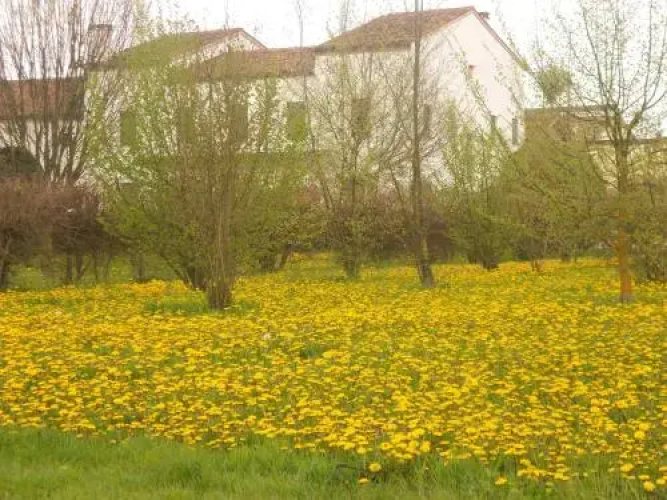 Villa Gaudio
