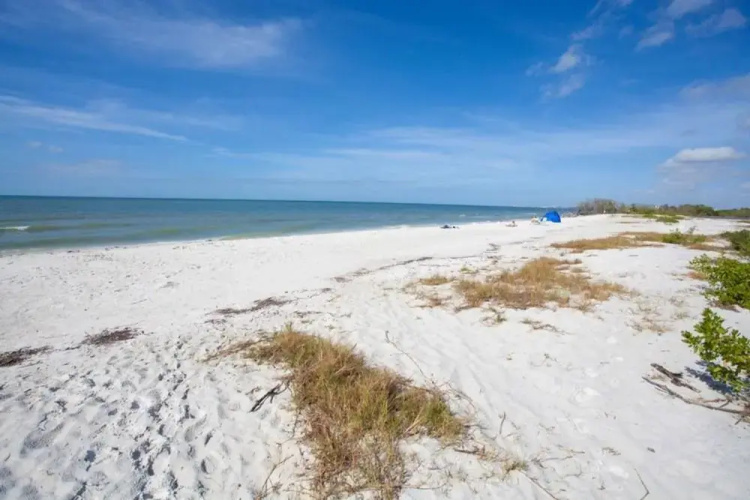Fort Myers Beach Area 7360