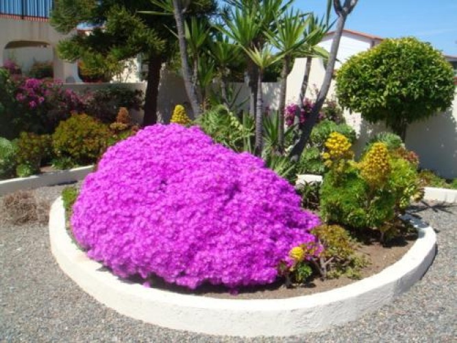 Casa Ballena A