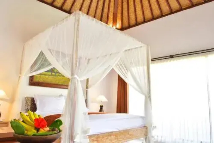 Way Ubud House