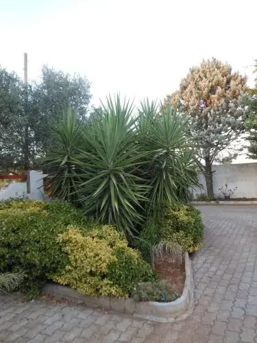 Il Giardino di Alba