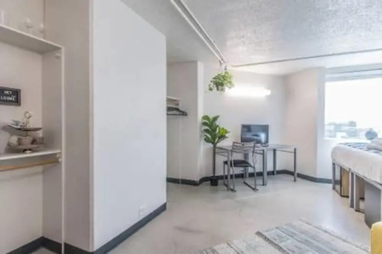 University Social Studio