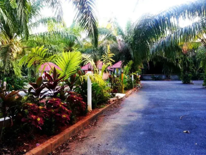 Phana Resort