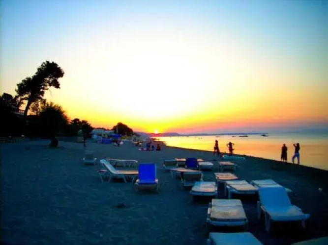 Oliveto