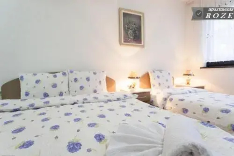 Apartments Tomic