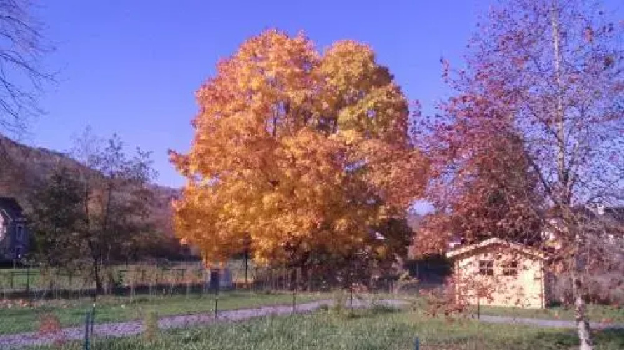 Domaine du Hulobiet