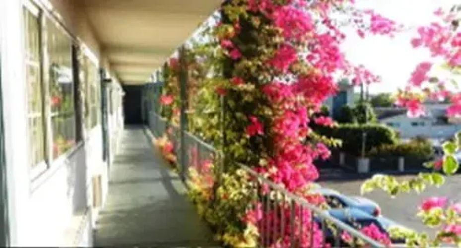 Antioch Executive Inn