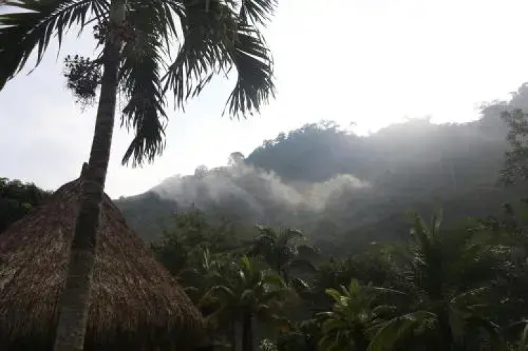 El Rio Hostel