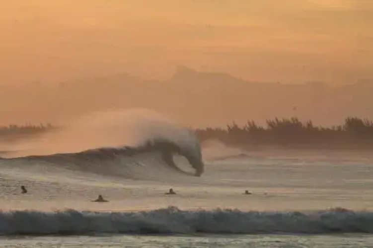 Noosa Surf Republic