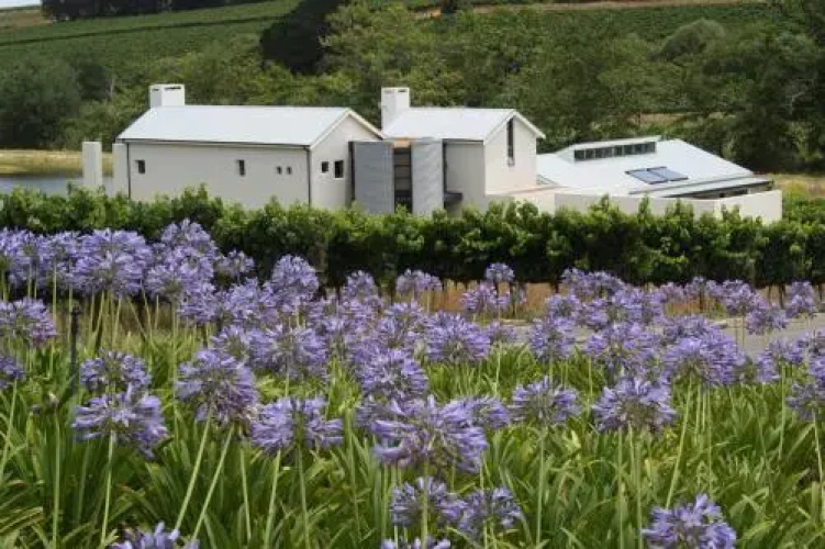 Laibach Vineyards