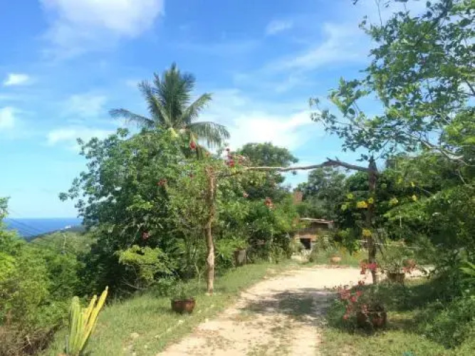 Bohemia Resort