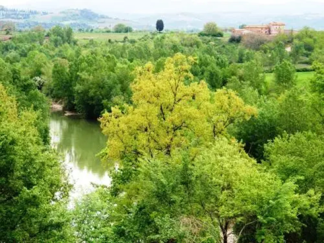 Podere Santo Stefano