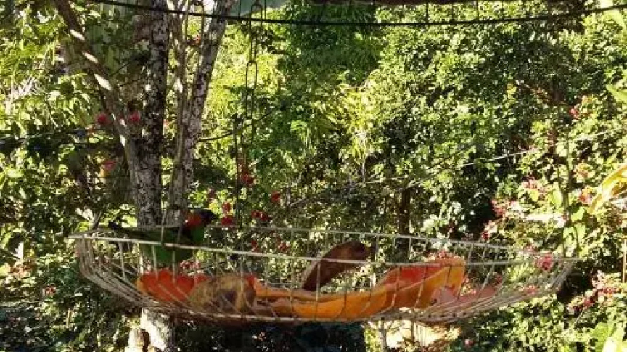 Recanto Ipê Amarelo