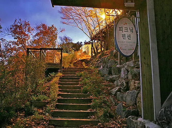 Picnic Pension
