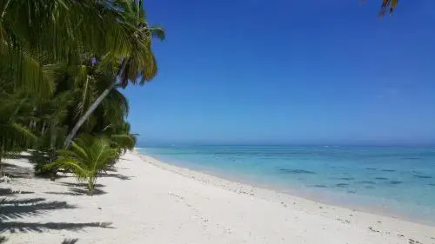 Matriki Beach Huts