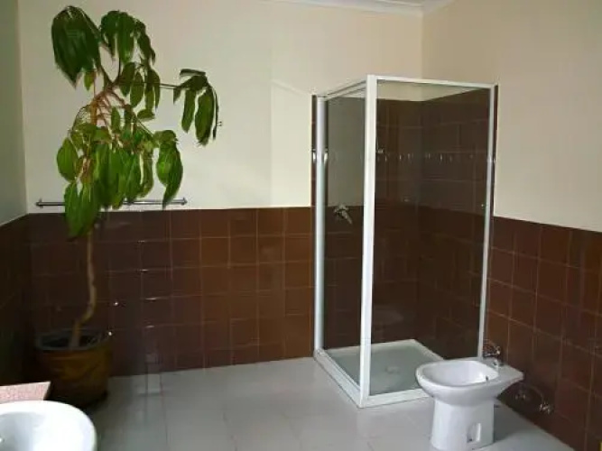 Icena Accommodation