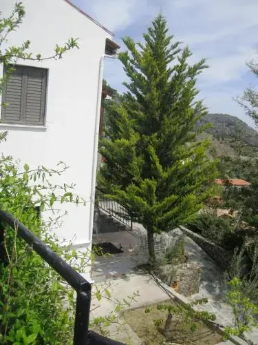 Danai Village House