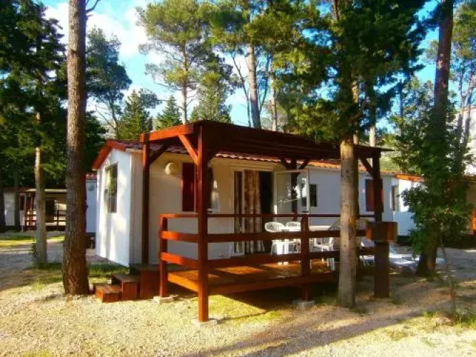 Camp Sibuljina