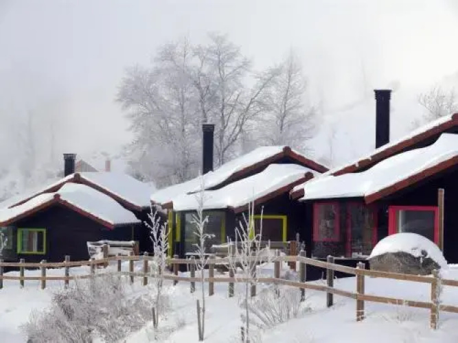 Cabañas Patagónicas