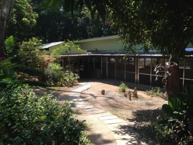Jungle Environment Survival Training Jest Camp Dormitory