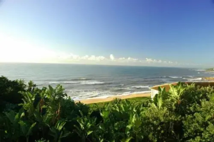 Albatross Guest House