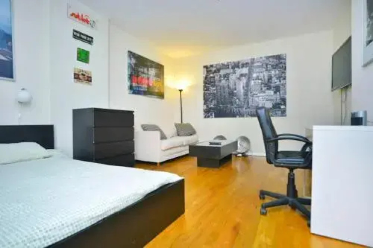 329 East Apartment #232463 - Studio Apts