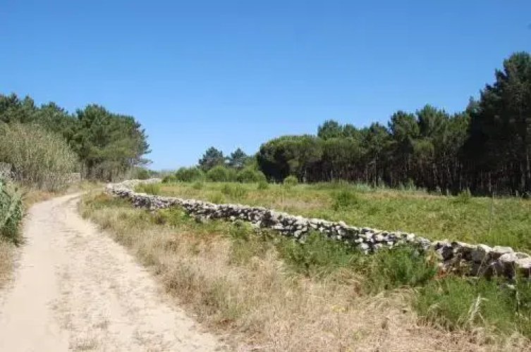 Barra Mansa