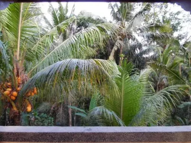 Hana House Ubud
