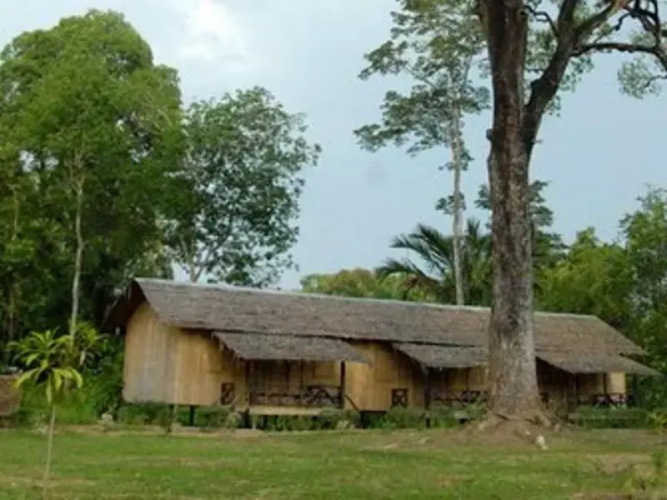 Borneo Proboscis River Lodge