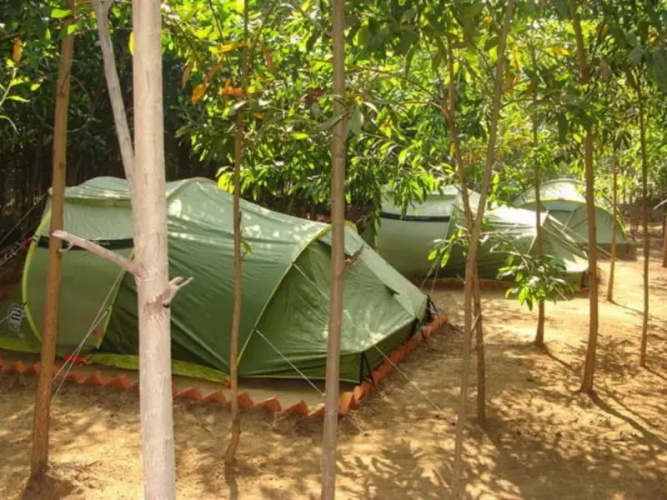 Dandeli Camps