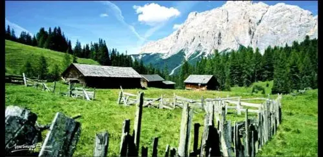 Residence Bosco Verde