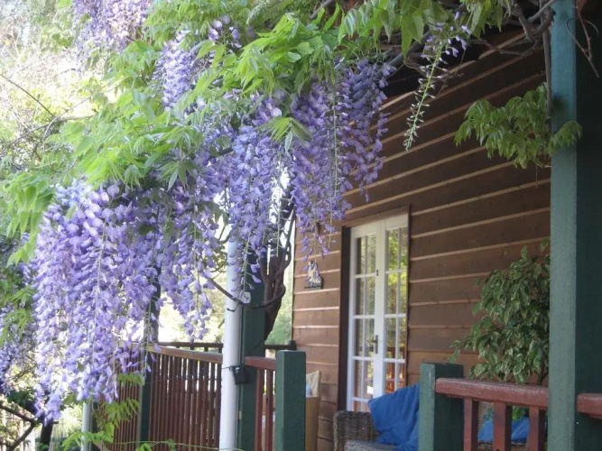 RoseMoore Bed & Breakfast