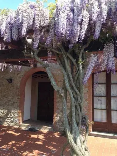 Fattoria Cirene