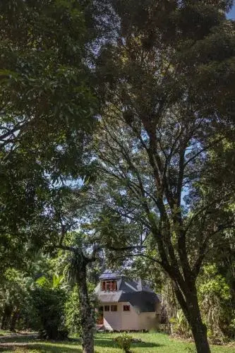 Cape Tribulation Holiday House