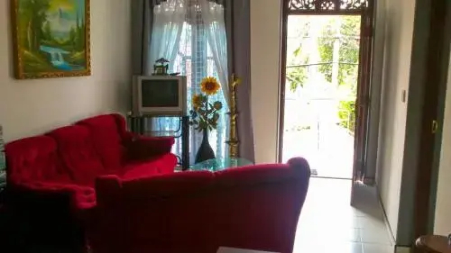 Orchid House