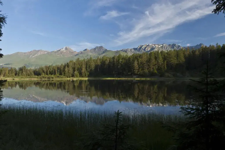 Alte Schmiede