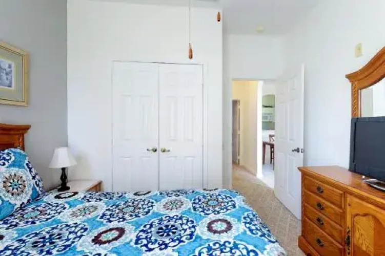 Silver Palm Retreat
