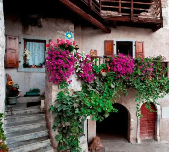 Albergo Sayonara