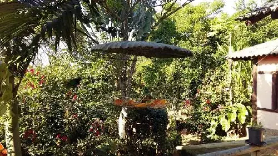 Recanto Ipê Amarelo