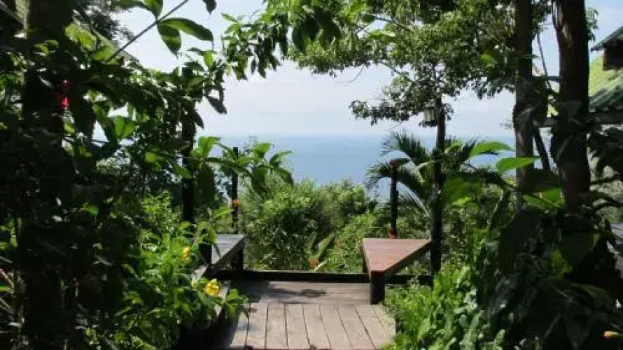 Bohemia Resort