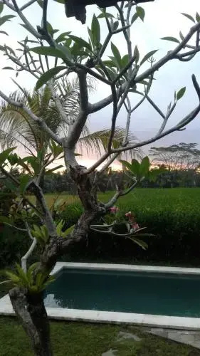 Thani Villa