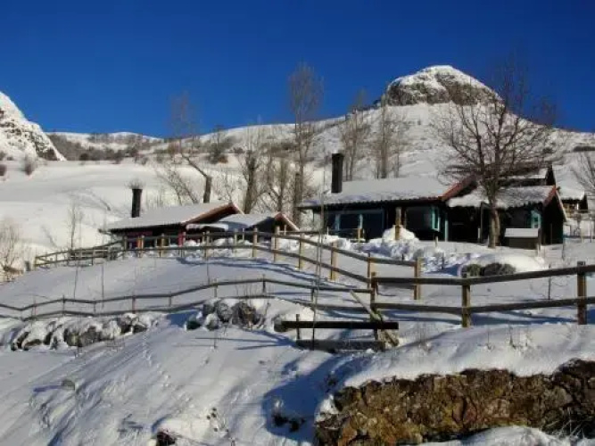 Cabañas Patagónicas