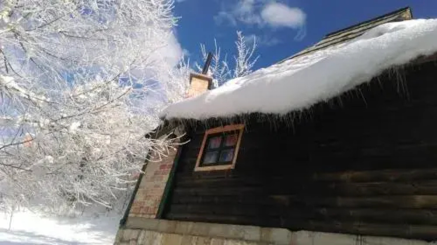 Brvnare Dolic