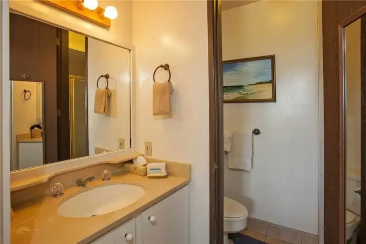 Kauhale Makai 209 - 2 Br Condo