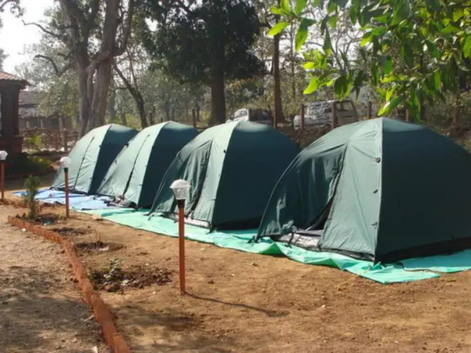 Dandeli Camps