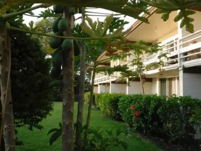 Kona White Sands A4 - Studio Condo